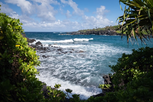 a view through the trees is a view of the ocean with the waves rolling in on a sunny day with some clouds