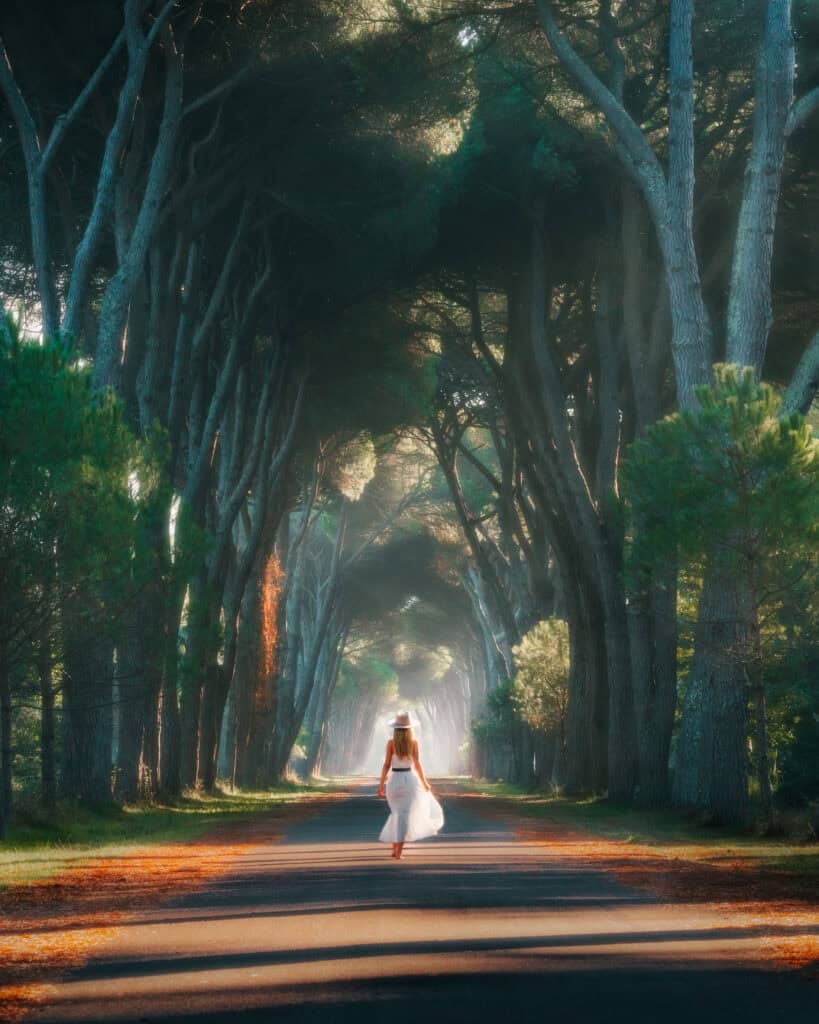 Bree walks down a road lined with trees